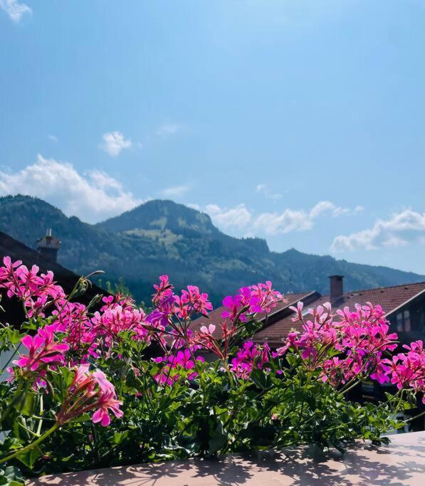 Berge, Wandern, Erholung Pur! Fewo Tinka-Haus Katja Bad Hindelang Exterior photo